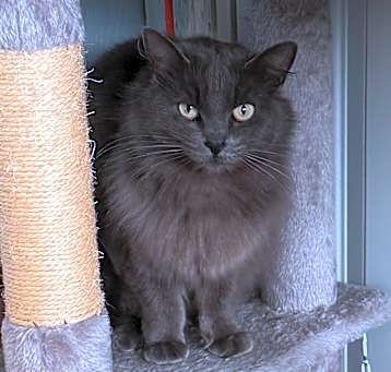 Photo of Freya