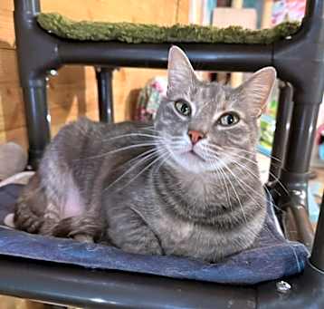 Photo of KiKi