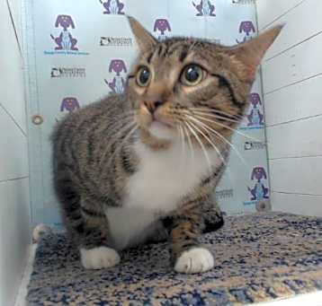 Photo of MOCHI