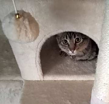 Photo of Luna