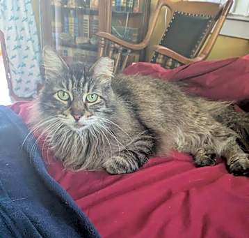 Photo of Belle