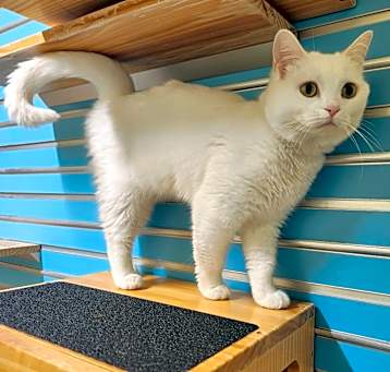 Photo of Starby