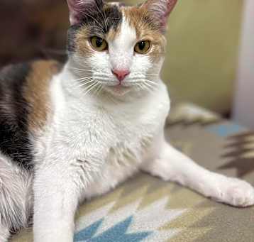 Photo of Chatty Mae