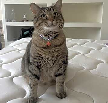 Photo of Theodore