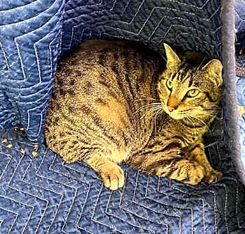 Photo of TIMMY