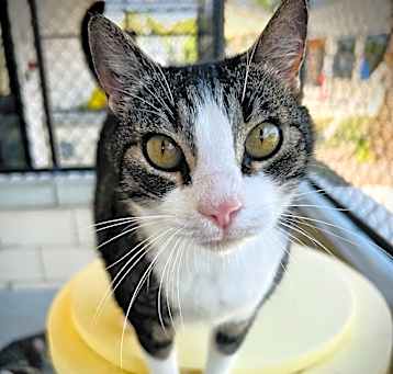 Photo of Simon