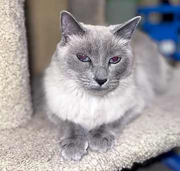 Photo of Ms. Grey
