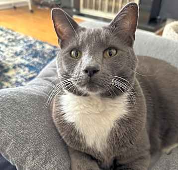 Photo of Apollo