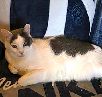 Photo of Baby