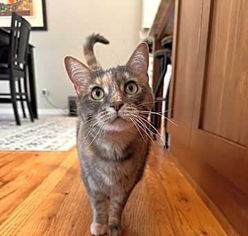 Photo of Daisy