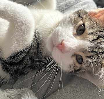 Photo of JJ