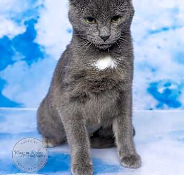 Photo of Princess