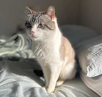 Photo of Finn