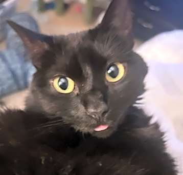 Photo of Mavis