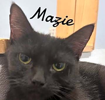 Photo of Mazie