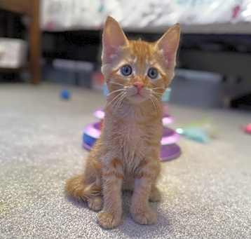 Photo of TJ