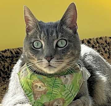 Photo of Monkey