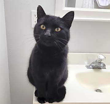 Photo of Arthur