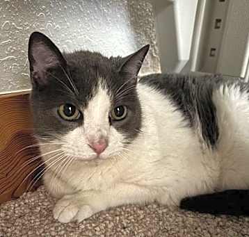 Photo of “Mitch”