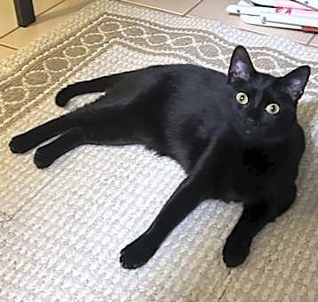 Photo of Kiki