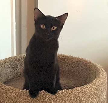 Photo of Margaret