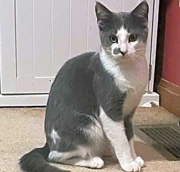 Photo of Spook