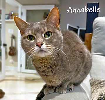 Photo of Annabelle