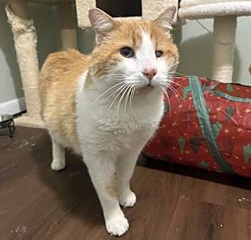 Photo of Sammy
