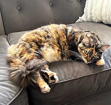 Photo of Doja