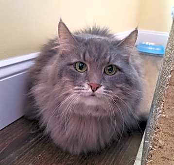 Photo of Chloe