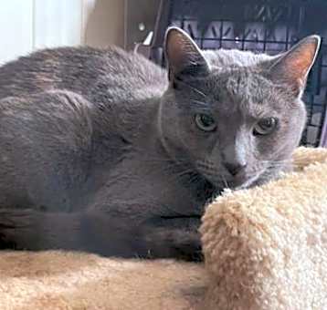 Photo of Seeci