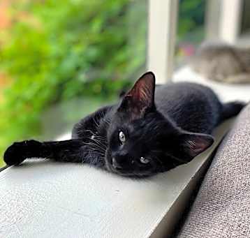 Photo of Mack