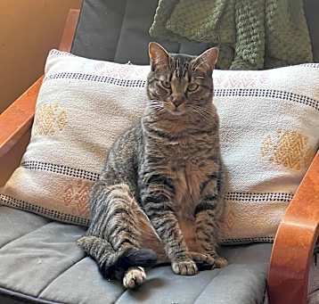 Photo of Remy