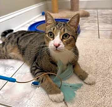 Photo of Cisco