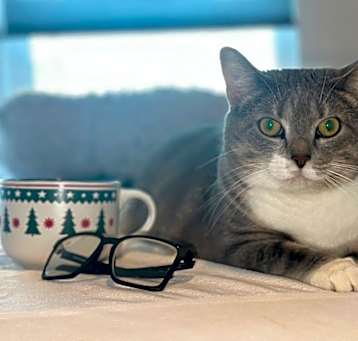 Photo of SUMMER THE GORGEOUS PAWCHELORETTE