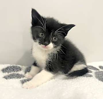 Photo of Zuko