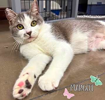 Photo of Margot