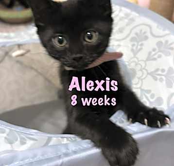 Photo of Alexis Rose
