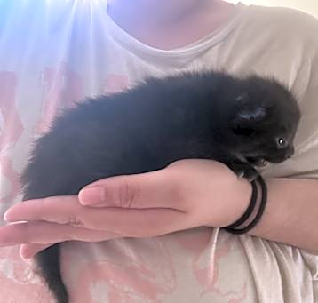Photo of Luci