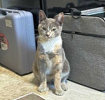 Photo of Kiara