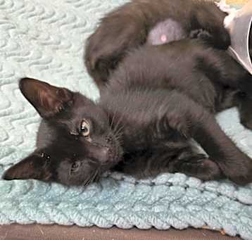 Photo of Cece