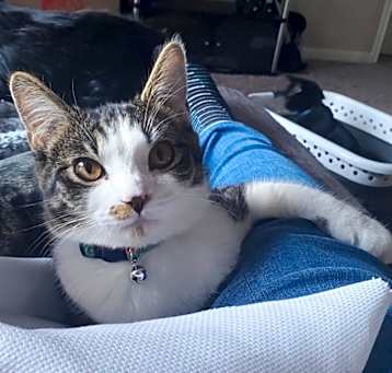 Photo of Leroy