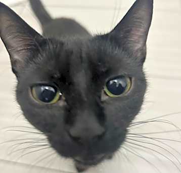 Photo of Molly
