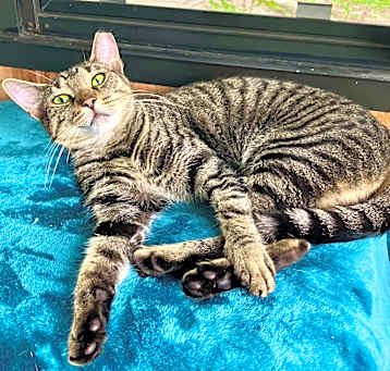 Photo of Erykah