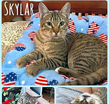 Photo of Skylar