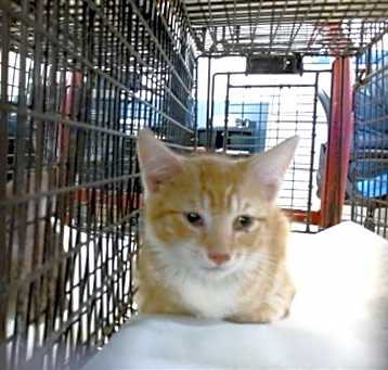 Photo of CUTIE