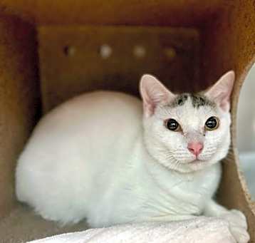 Photo of WINNIE