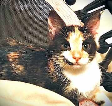 Photo of Coleen