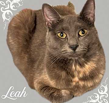 Photo of Leah