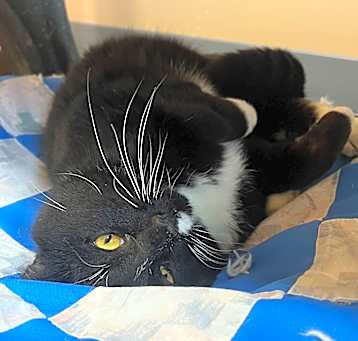 Photo of Peter